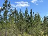 Tract#6416 Brock Road - Photo 3