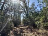 Tract#6416 Douglas Ferry North Road - Photo 10