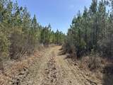 Tract#6416 Douglas Ferry North Road - Photo 13
