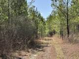 Tract#6416 Douglas Ferry North Road - Photo 14