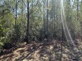 Tract#6416 Douglas Ferry North Road - Photo 15