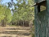 Tract#6416 Douglas Ferry North Road - Photo 3