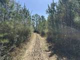 Tract#6416 Douglas Ferry North Road - Photo 9