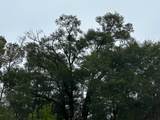 Tract#6418 Mattox Springs Road - Photo 4