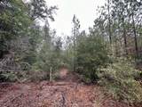 Tract#6418 Mattox Springs Road - Photo 5