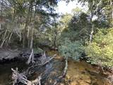 Tract#6201 Doyle Morgan Road - Photo 13