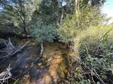 Tract#6201 Doyle Morgan Road - Photo 15