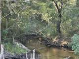 Tract#6201 Doyle Morgan Road - Photo 16