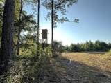 Tract#6201 Doyle Morgan Road - Photo 2