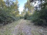 Tract#6201 Doyle Morgan Road - Photo 27