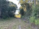Tract#6201 Doyle Morgan Road - Photo 31