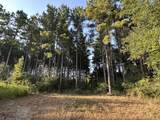 Tract#6201 Doyle Morgan Road - Photo 33