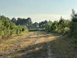 Tract#6201 Doyle Morgan Road - Photo 36