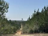 Tract#6416 Douglas Ferry Road - Photo 10