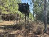 Tract#6416 Douglas Ferry Road - Photo 11
