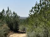 Tract#6416 Douglas Ferry Road - Photo 5