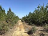 Tract#6416 Douglas Ferry Road - Photo 6