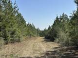 Tract#6416 Douglas Ferry Road - Photo 7