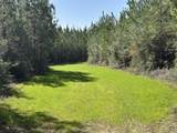 Tract#6416 Douglas Ferry Road - Photo 8