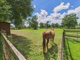 1052 Whitehead Drive - Photo 41
