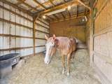 1052 Whitehead Drive - Photo 42
