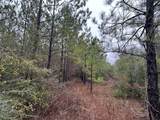 Tract#6418 Mattox Springs Road - Photo 1