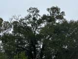 Tract#6418 Mattox Springs Road - Photo 4