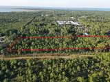 Lot #11 Co Highway 393 - Photo 12