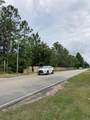 Lot #11 Co Highway 393 - Photo 4