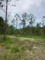 Lot #11 Co Highway 393 - Photo 5