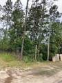Lot #11 Co Highway 393 - Photo 6