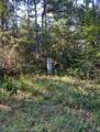 TBD Lester Price Road - Photo 6