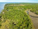 16 Acres Beatrice Point Road - Photo 23