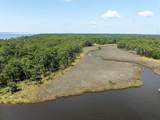 16 Acres Beatrice Point Road - Photo 9