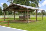 13935 Blue Springs Road - Photo 54