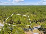 7628 Coastal Hammock Trail - Photo 11