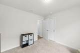 5536 Lexa Lane - Photo 15