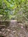 TBD Strickland Road - Photo 32
