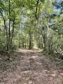 TBD Strickland Road - Photo 33