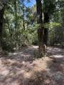 TBD Strickland Road - Photo 35