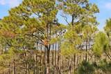 9600 Grand Sandestin Boulevard - Photo 2