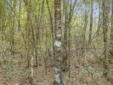 Lot 24 Blue Creek Road - Photo 5
