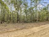 Lot 24 Blue Creek Road - Photo 6