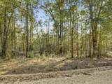 Lot 24 Blue Creek Road - Photo 8