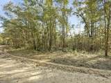 Lot 24 Blue Creek Road - Photo 9