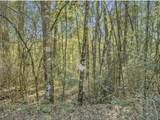 Lot 27 Blue Creek Road - Photo 11