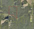 48 Acres Indian Creek Ranch Road - Photo 2