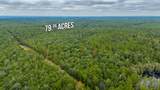 79 Acres Bucking Up Road - Photo 7