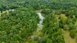 79 Acres Bucking Up Road - Photo 8