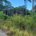 Lot 24 Nautilus Court - Photo 2